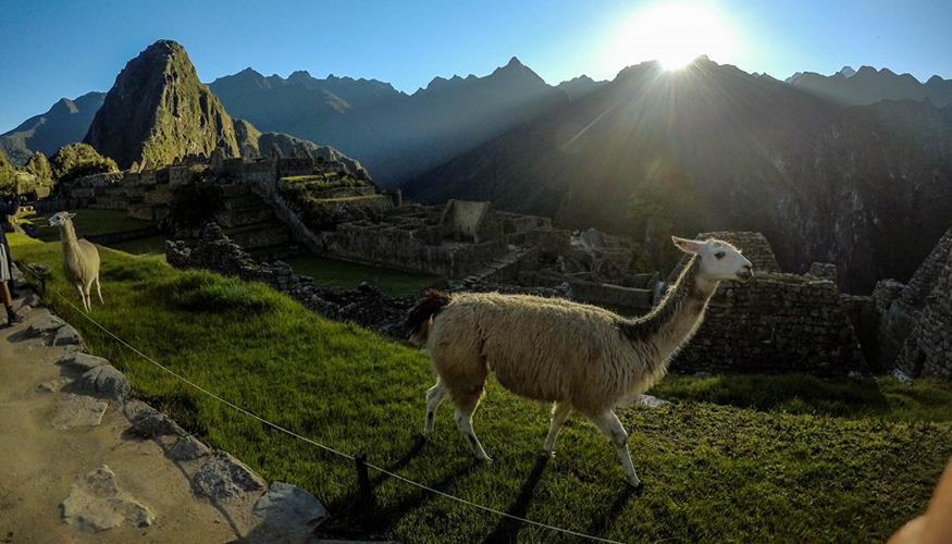 machu-picchu-by-train2